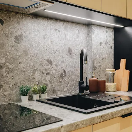 Stereo House By Larsen 3* Tallinn